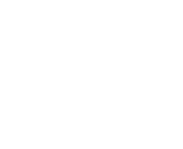 NOVA STEEL DOO